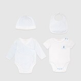 Baby four-piece gift set