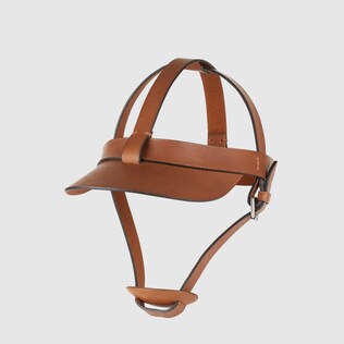 Visor with harness