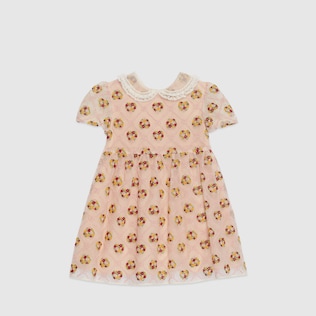 Baby tulle embroidered dress