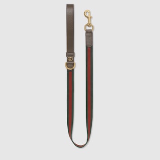 Large Web pet leash