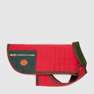 Pet coat with Interlocking G