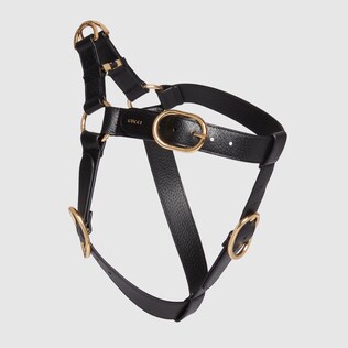 Large/extra-large pet harness