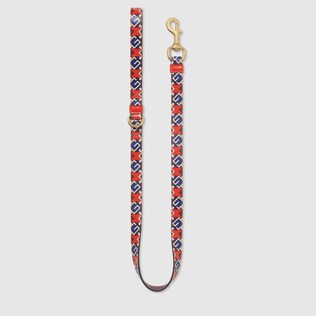 Small/medium pet leash