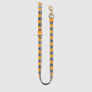Small/medium pet leash