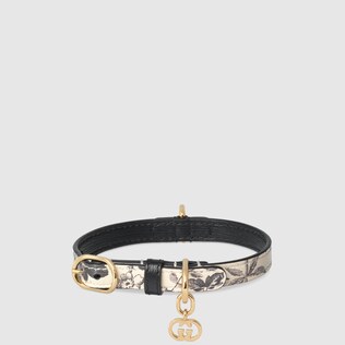 Extra-small pet collar