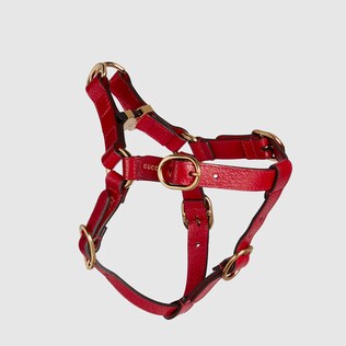 Small/medium pet harness