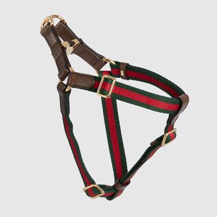 Small/medium pet harness