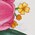 flora print