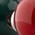 red and green wood