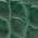 coccodrillo verde