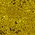 metallic laminate leather