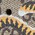 Gucci Bengal print