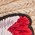 hibiscus red suede