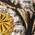 floral jacquard