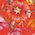 red flora snake print