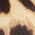 Leopard print calf hair