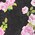 soie et viscose à roses grimpantes