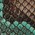light green python