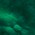 piel de lagarto verde