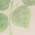 ivory Rose Garden print