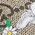 GG Supreme con stampa animaletti Gucci