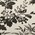 Herbarium nero