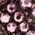 Cristales rosas