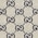 GG Canvas