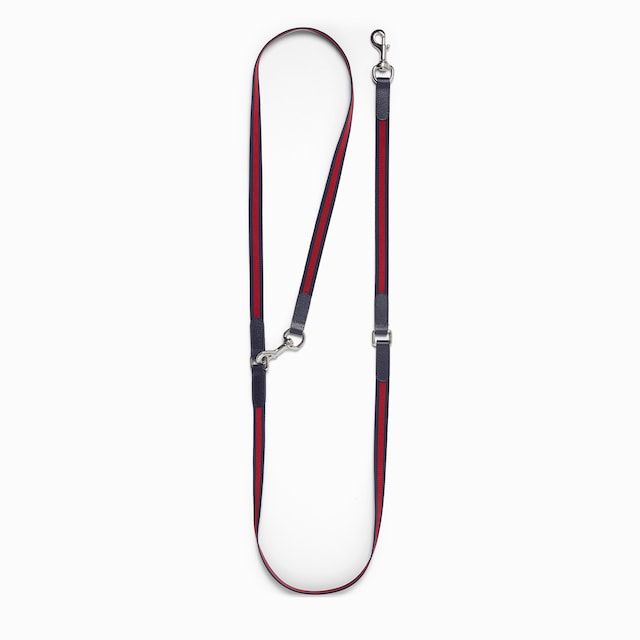 Crossbody pet leash