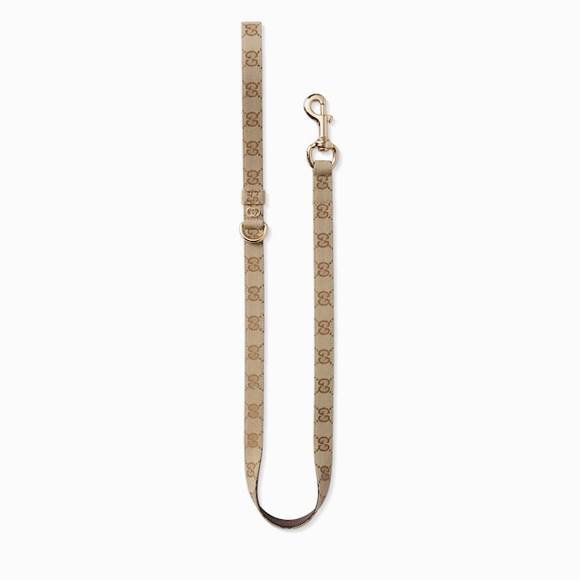 Small/medium pet leash
