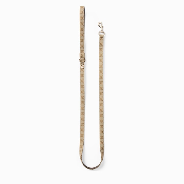 Extra-small pet leash