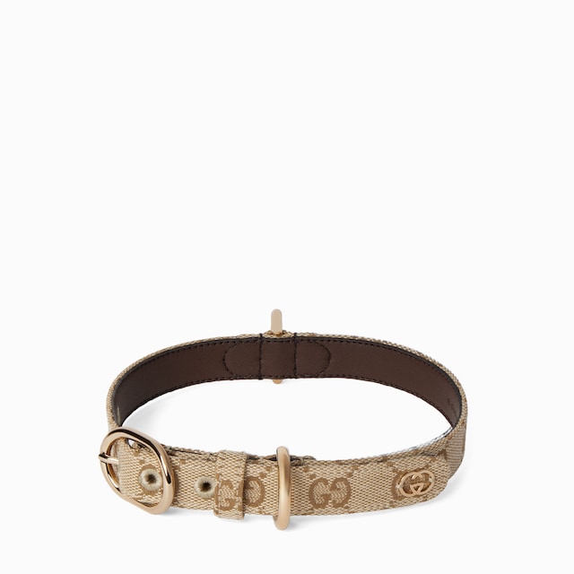 Small/medium pet collar