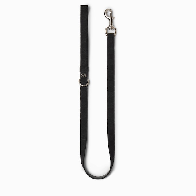 Small/medium pet leash