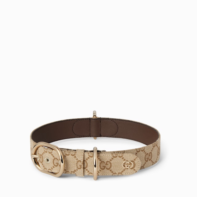 Large/extra-large pet collar
