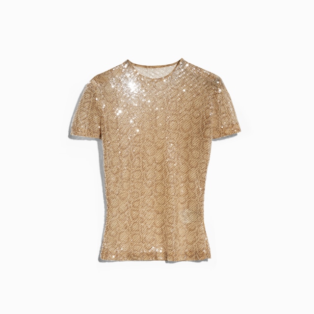 Besticktes Stretch-Tüll T-Shirt