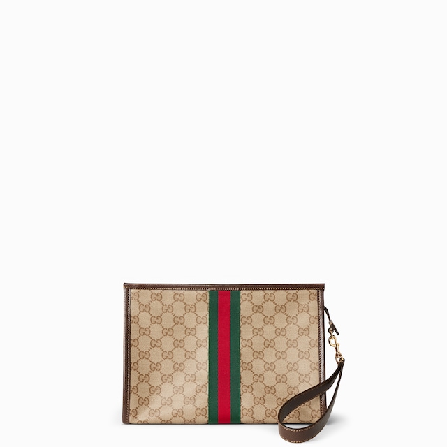 Pouch with Web