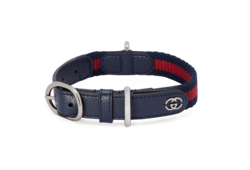 Small/medium pet collar