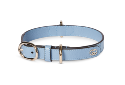 Small/medium collar
