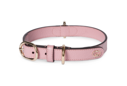 Small/medium collar