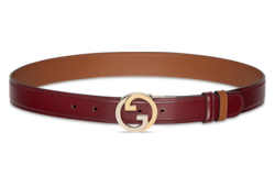 Reversible Gucci Blondie belt