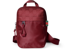 Gucci Nexus mini slingbag