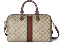 Sac Boston Ophidia grand format