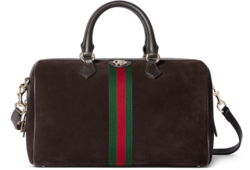 Sac Boston Ophidia grand format