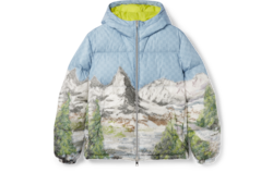 Chaqueta de nylon estampada con cremallera