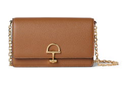 Portefeuille sur chaîne Gucci Half Horsebit