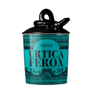 Freesia, XL