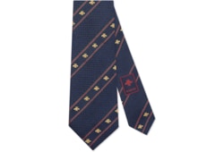Bee and Web silk jacquard tie