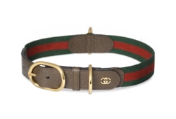 Large/extra-large pet collar