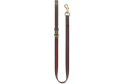 Small/medium pet leash