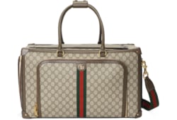 Переноска для питомцев с лентой Web